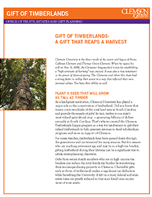 One-pager: Bequest of Timberlands