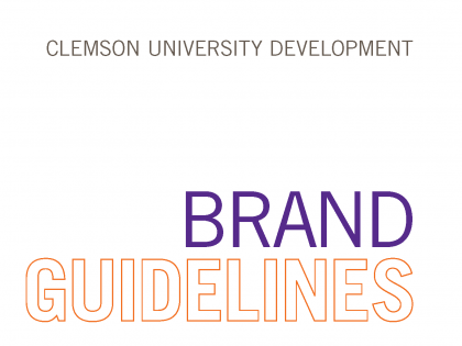 Development Brand Guidelines