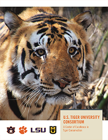Global Tiger Brochure