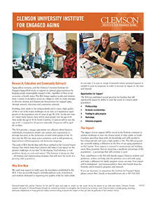 Institute for Engaged Aging Short One Pager