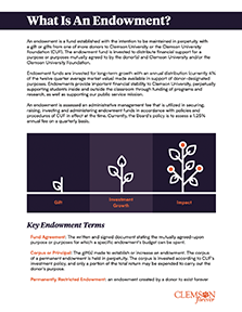 Endowment One Pager